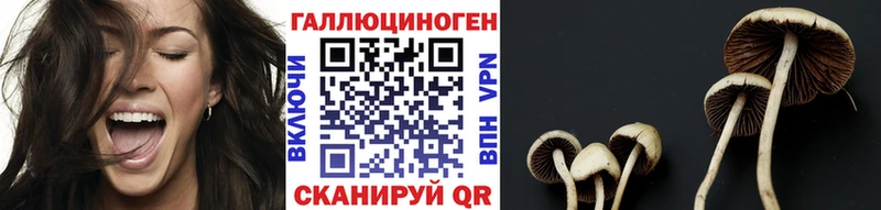 как найти наркотики  Тольятти  Псилоцибиновые грибы ЛСД 